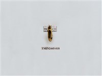 藏品(黑長斑苔蛾)的圖片